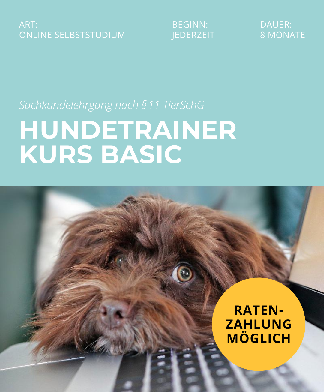 Hundetrainerausbildung Online - Pfötchenhof Pfalz