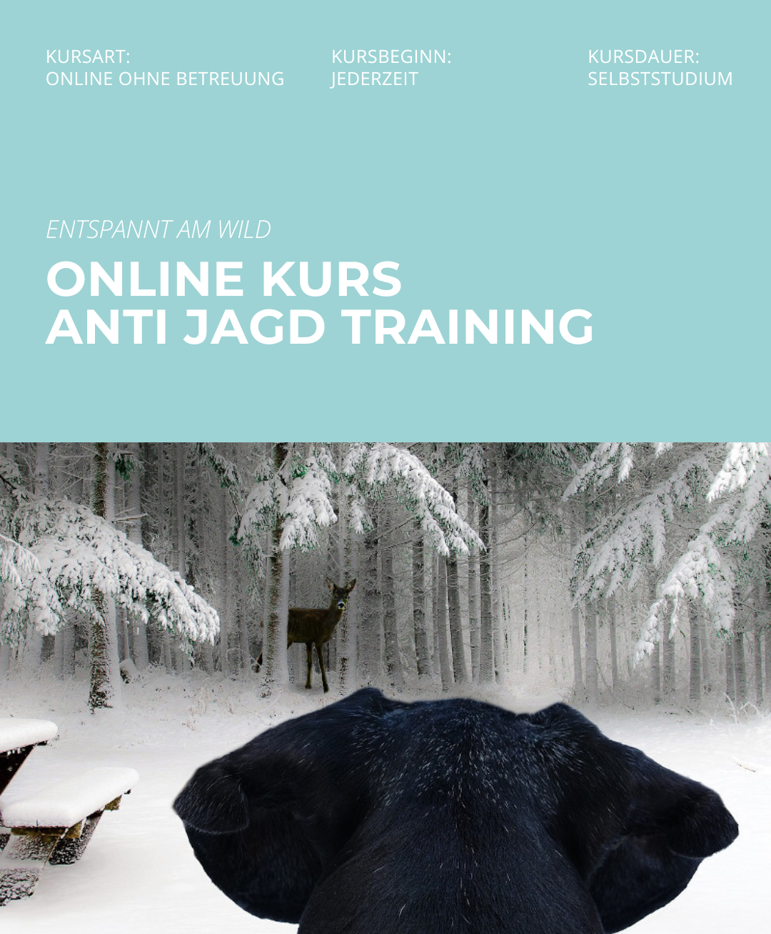 Hundetrainerausbildung Online - Pfötchenhof Pfalz