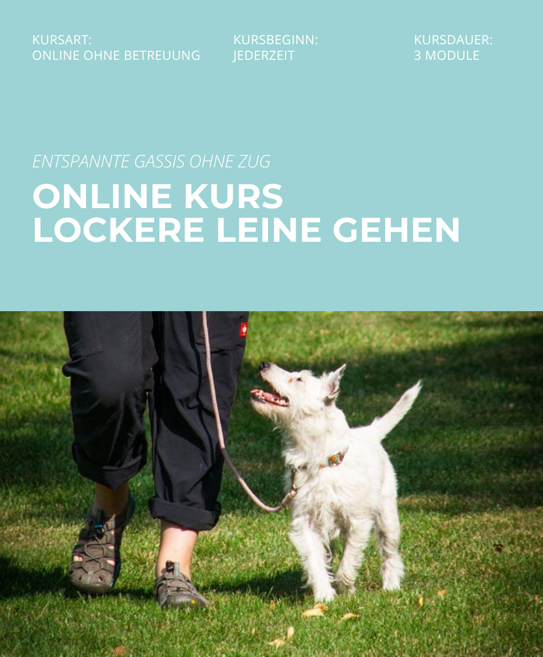 Hundetrainerausbildung Online - Pfötchenhof Pfalz