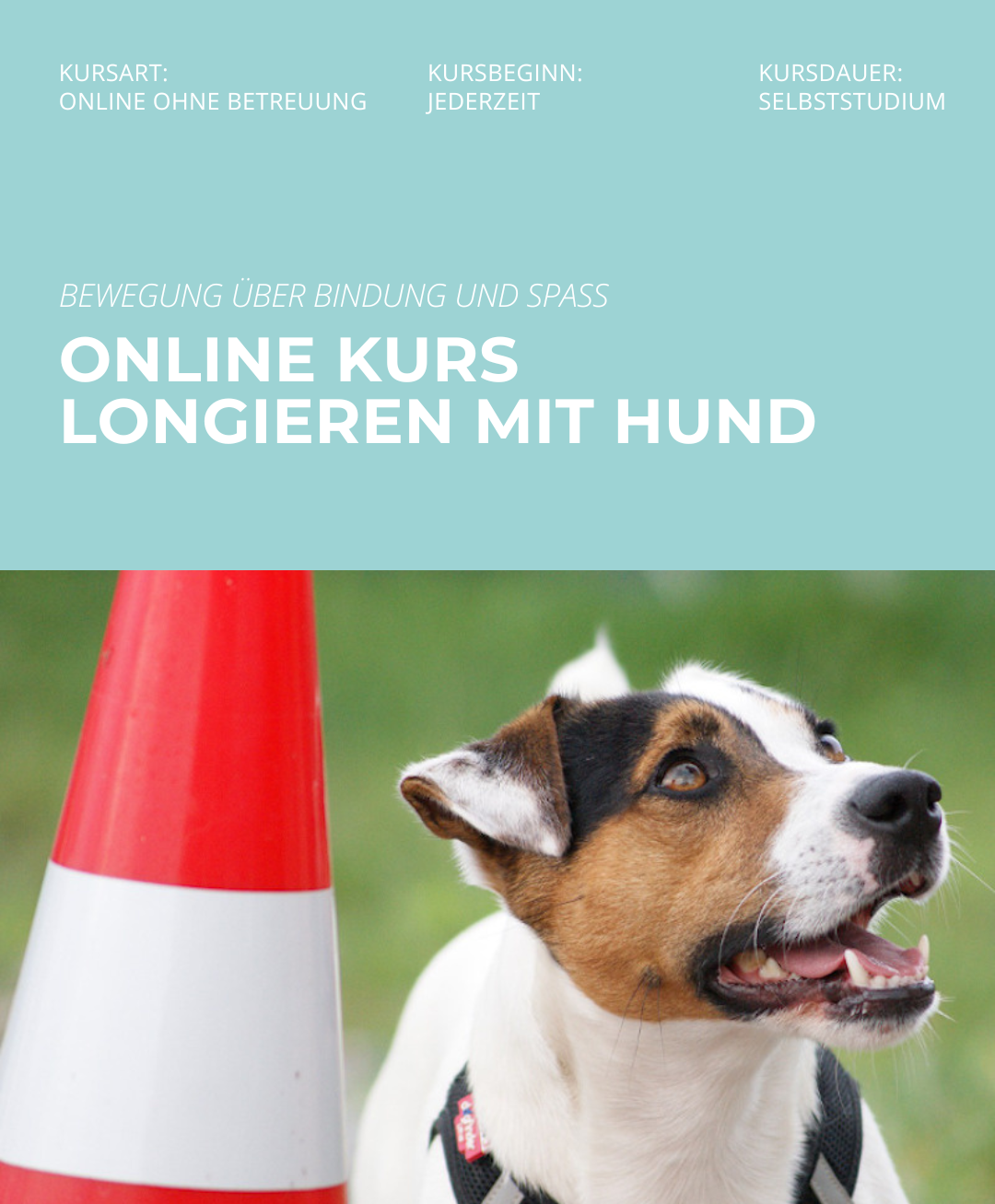 Hundetrainerausbildung Online - Pfötchenhof Pfalz