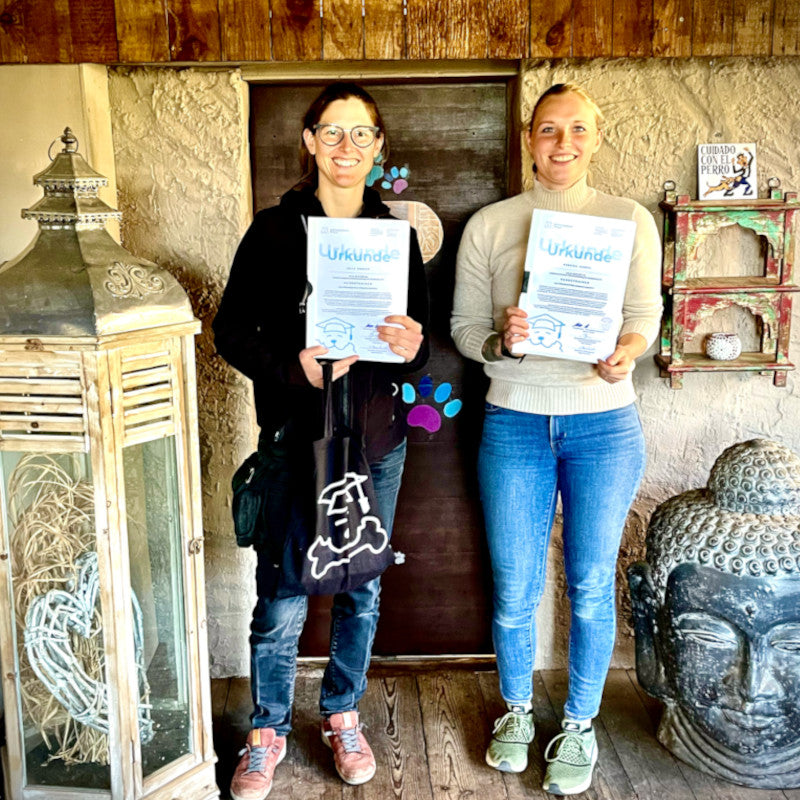 Hundetrainerausbildung Online - Pfötchenhof Pfalz