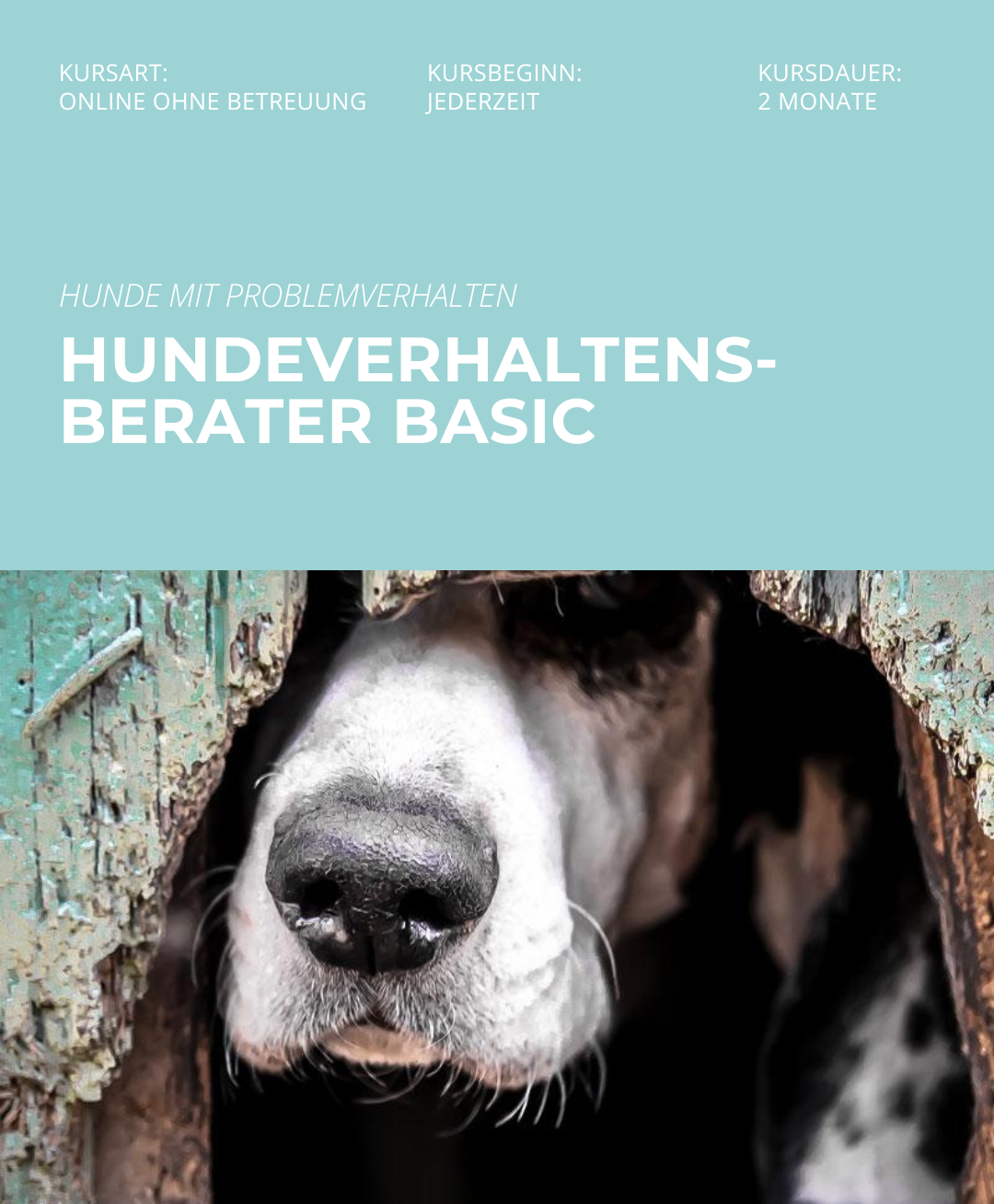 Hundetrainerausbildung Online - Pfötchenhof Pfalz