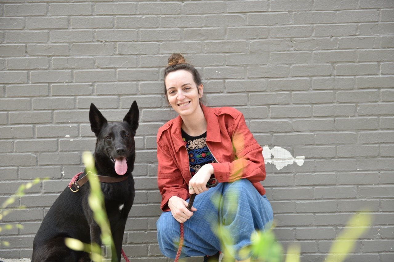 Hundetrainerausbildung Online - Pfötchenhof Pfalz