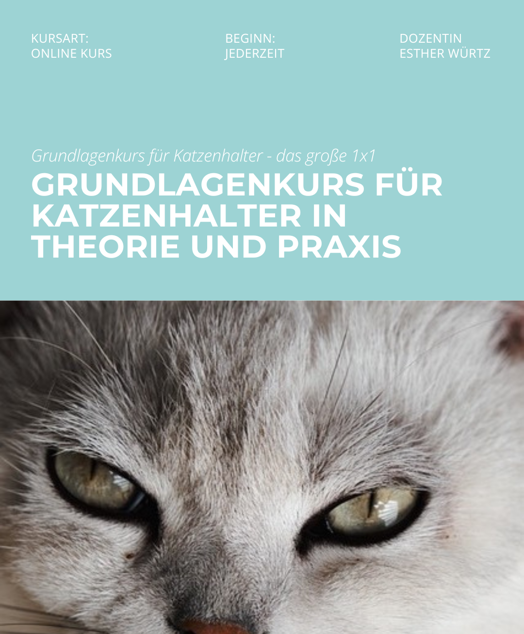 Hundetrainerausbildung Online - Pfötchenhof Pfalz