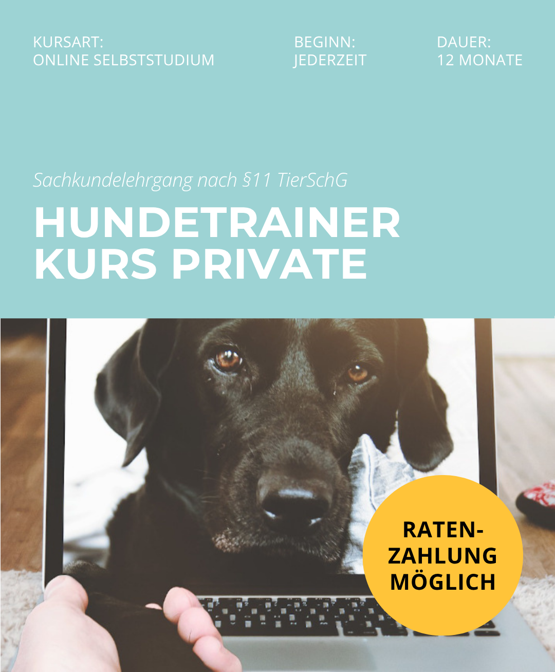 Hundetrainerausbildung Online - Pfötchenhof Pfalz