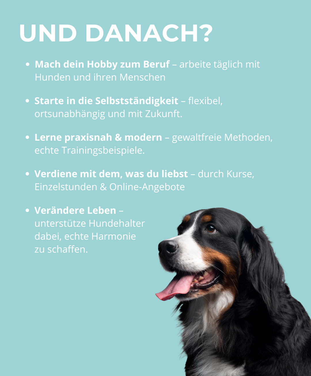 Hundetrainerausbildung Online - Pfötchenhof Pfalz