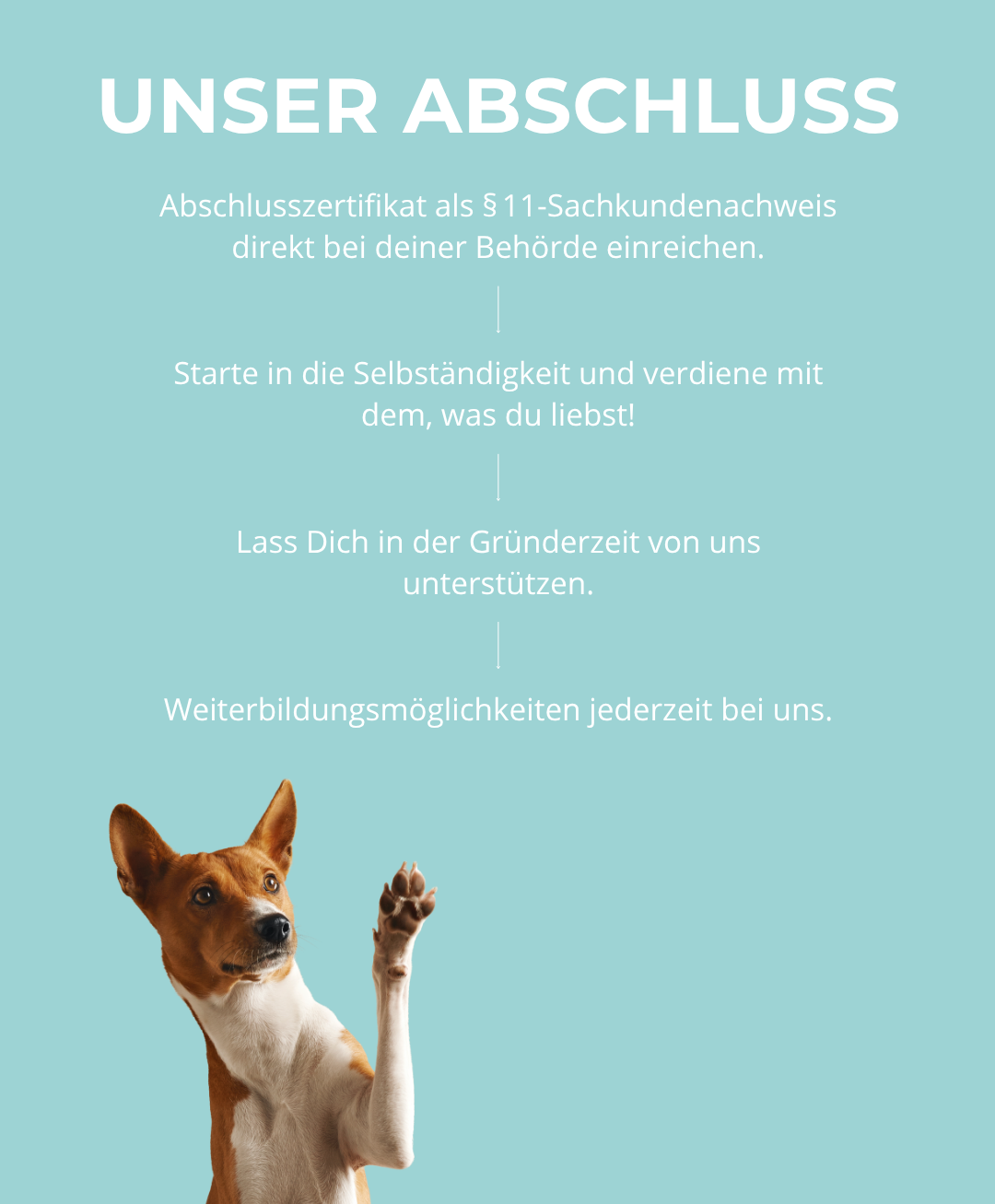 Hundetrainerausbildung Online - Pfötchenhof Pfalz