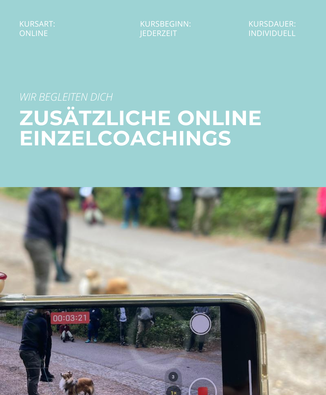 Hundetrainerausbildung Online - Pfötchenhof Pfalz
